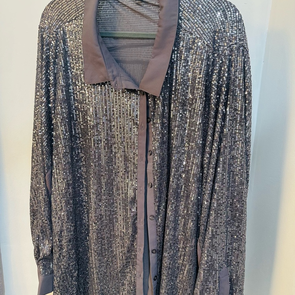 Torrid Silver Sequin Blouse